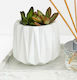 Faceted Planter-white