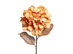 Stoneleigh Roberson Flowers Greenery: ARTIFICIAL DRIED LOOK HYDRANGEA CARAMEL