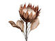 Artificial Dried Look Protea Large Head Brown