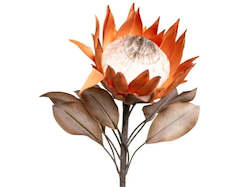 Artificial Dried Look Protea Large Head Caramel