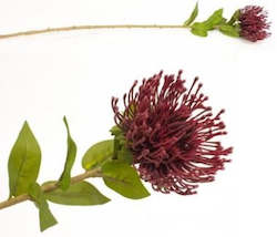 Stoneleigh Roberson Flowers Greenery: ARTIFICIAL LEUCOSPERMUM/PIN CUSHIONS STEM BURGUNDY