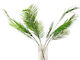 Artificial Palm Leaf Spray Green