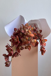 Florist: Flower of the Month - Cymbidium Orchids!