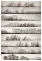 Limited Edition Framed Print - Nine Lines of Winter Trees