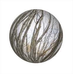 Limited Edition Framed Print - 2021 Landscape Spheres #7