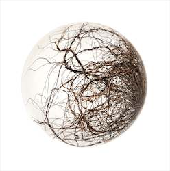 Limited Edition Framed Print - 2021 Landscape Spheres #2