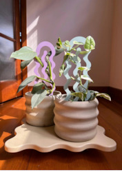 Plant, garden: FLO - secateur me baby