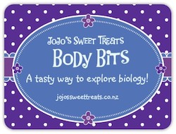 Body Bits Box