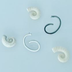 Earrings: Molluska small earrings