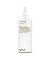 Hairdressing: EVO SALTY DOG SALT SPRAY