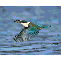 Kingfisher/Kotare