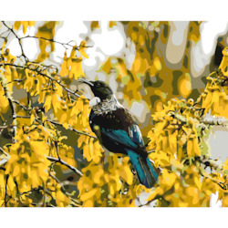 Frontpage: Tui in Kowhai Tree