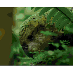 Frontpage: Kakapo