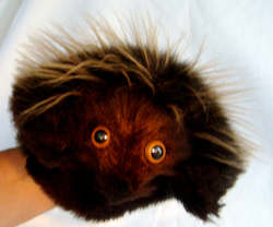 Pet: Hedgehog Hand Puppet