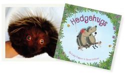 âHEDGEHUGSâ BOOK & PUPPET: Hedgehog Hand Puppet by Erin Devlin. Book by Lucy Tapper & Steve Wilson.