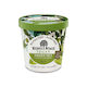 Green Tea Coconut Ice Cream (DF, GF, VG)