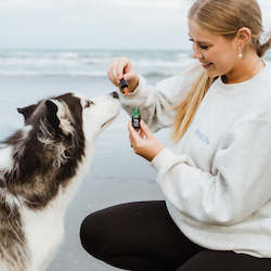 Manufacturing: Dog NZ Green Lipped Mussel Oil - For your dogs joints to help them run around