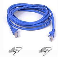 Belkin Cat5e ethernet cable 2m - ethernet - cables and converters