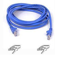 Belkin Cat5e ethernet cable 2m - networking - peripherals
