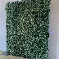 Event, recreational or promotional, management: Lush Greenery Wall 2.4m x 2.4m