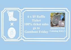 Donate A Littlejoys Product: 6 Raffle Tickets with Free Calming Kitty