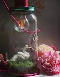 Frontpage: Swan Beauty Night Light Jar