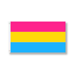 Flags: Pansexual Flag