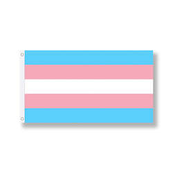 Flags: Transgender Flag