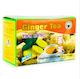 Nutri-Leaf GINGER 20pk 50g Tea Bags Herbal Dried 100% Pure Premium