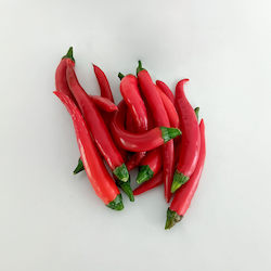 Farm produce or supplies wholesaling: Second Grade Chillies
