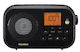 Sangean PR-D12BK AM/FM/BT portable radio with Bluetooth, Rechargeable, dual alarms.