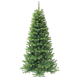 Christmas Trees And Decor: Rocky Mountain Slim Spruce 7.5ft