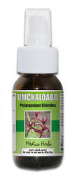 Pelargonium  - Helps with Bronchitis, Flu & Respiratory Tract Infections 50ml