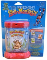 Computer programming: Sea Monkeys