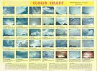 Computer programming: Cloud Chart