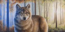Original Paintings: Wolf - Original Painting