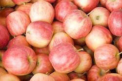 Grocery home delivery: Add 1kg Gala Apples * NEW SEASON SPECIAL *