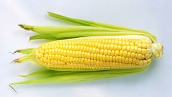 Grocery home delivery: Add x1 Sweetcorn