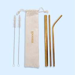 Golden Reusable Straw Set