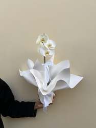 Florist: Phalaenopsis Orchid Plant