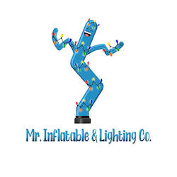 Electrical goods: Mr Inflatable & Lighting Co. Gift Card