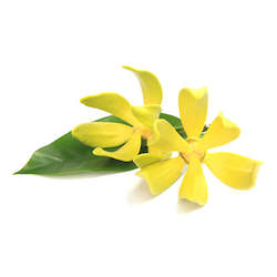 Non-store-based: Ylang-Ylang Essential Oil 5ML