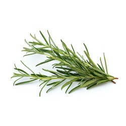 Non-store-based: Rosemary Essential Oil 5ML