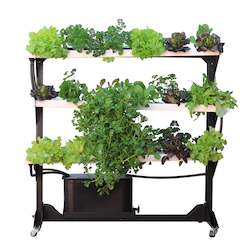 Frontpage: Small My Greens Hydroponic Tower (36 plant spots)