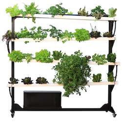 Large My Greens Hydroponic Tower (64 plant spots)