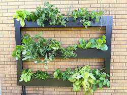 Green Walls: Small My Greens Grow Wall (21 plant spots)