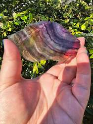 Pink Amethyst Geodes: Rainbow Fluorite Slice #6