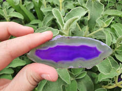 Dyed Purple Agate Slice