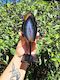 Black Dyed Agate Slice on Stand