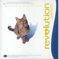Revolution for cats - 2x 6 pack deal with free 3 pack